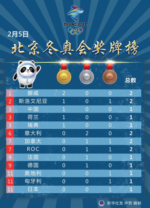 2014冬奥会中国在奖牌榜的名次