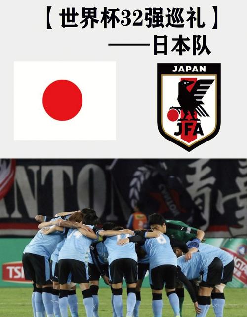 世俱杯改为日本承办的相关图片